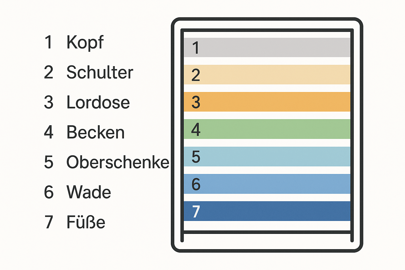 7-Zonen-Lattenrost Schema mit Federleisten